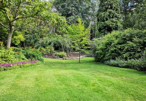 Optimiser l'expérience du jardin à Ortoncourt